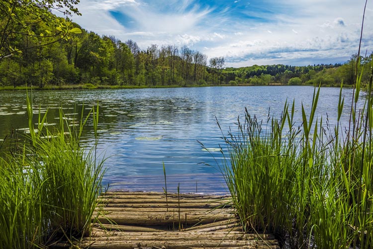 Journée « Lacs du Jura »